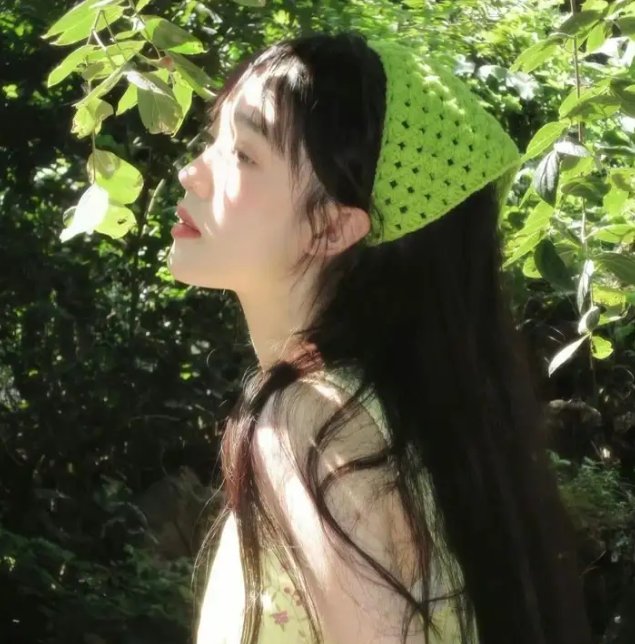 做一只鸟真不容易
